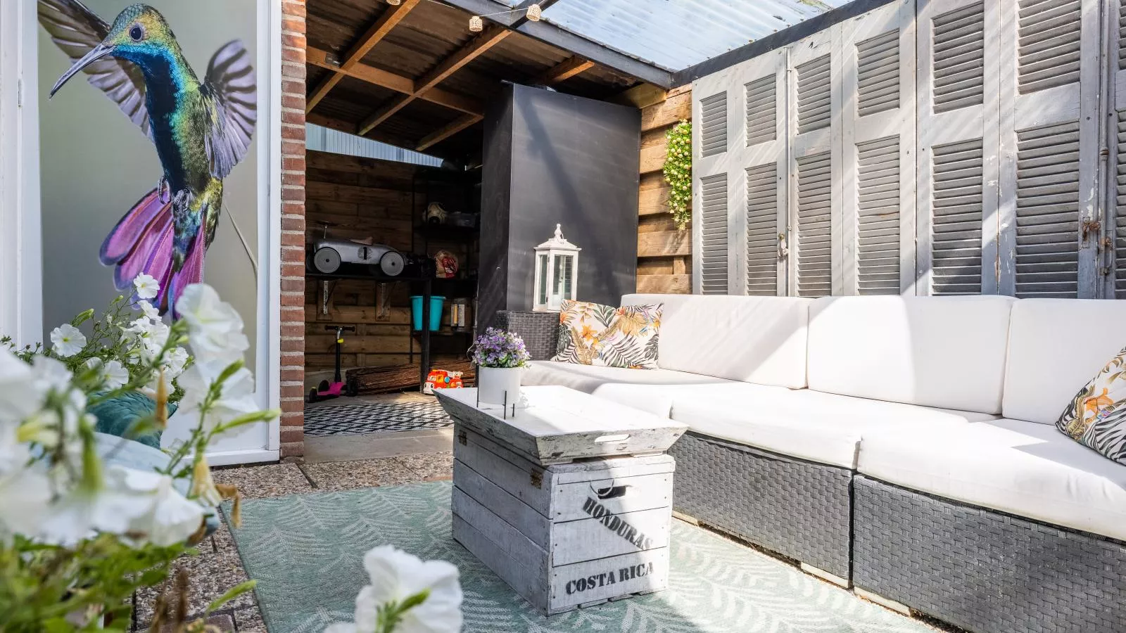 Kolibrie-Buitenlucht