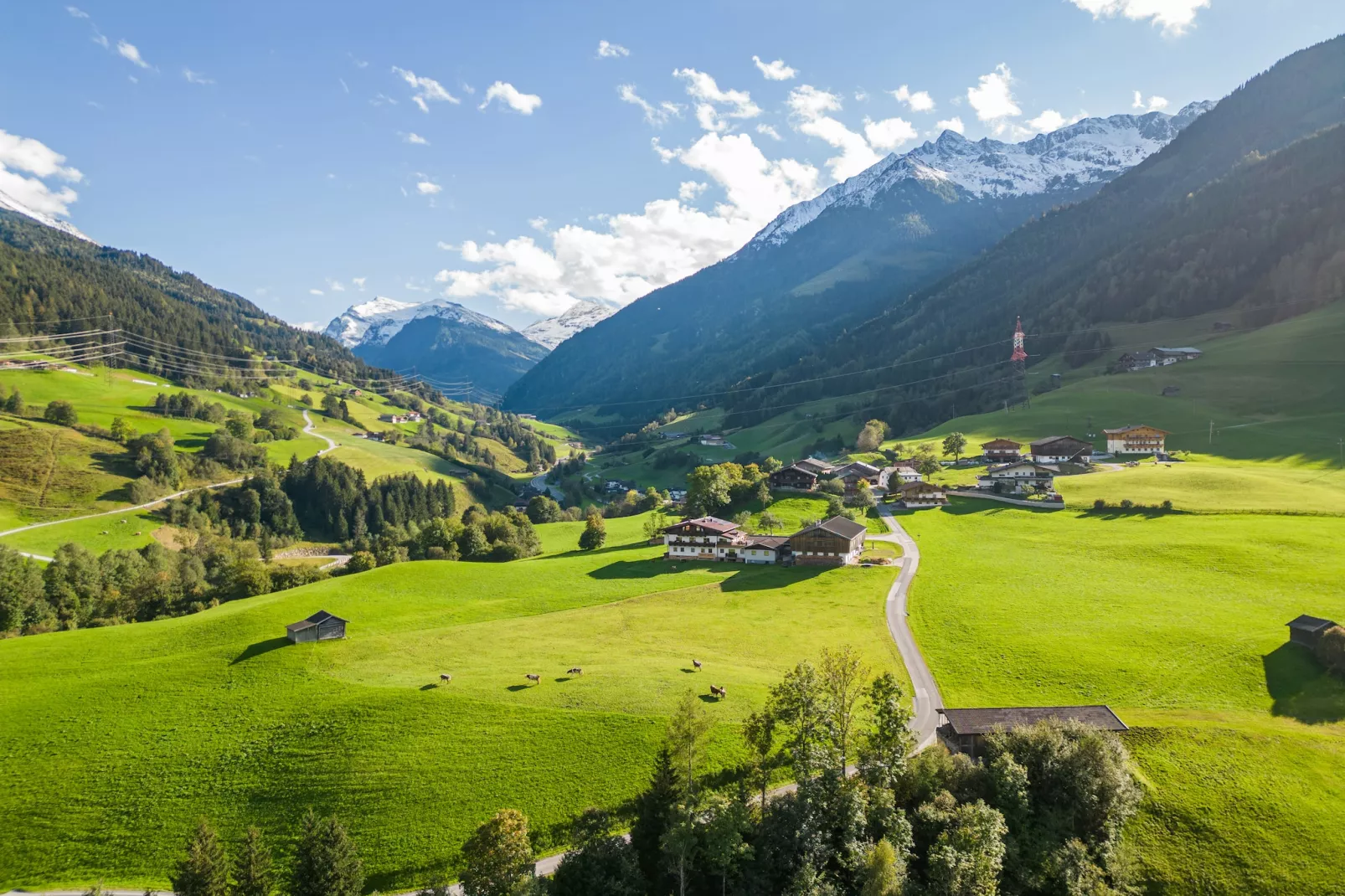 Apartment "Schattberg"-Gebieden zomer 5km