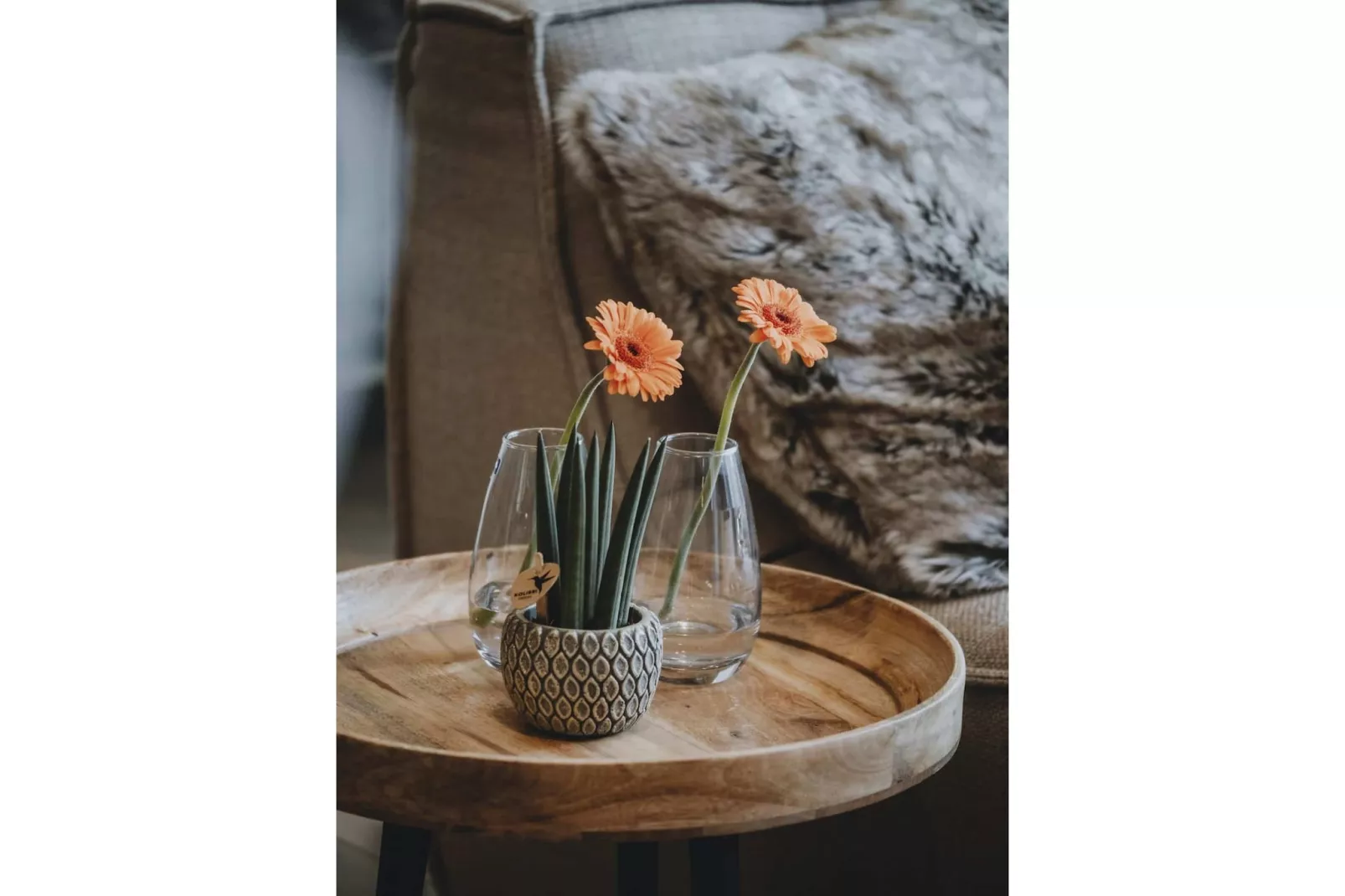 Le Paradis d'Henri-Sfeer