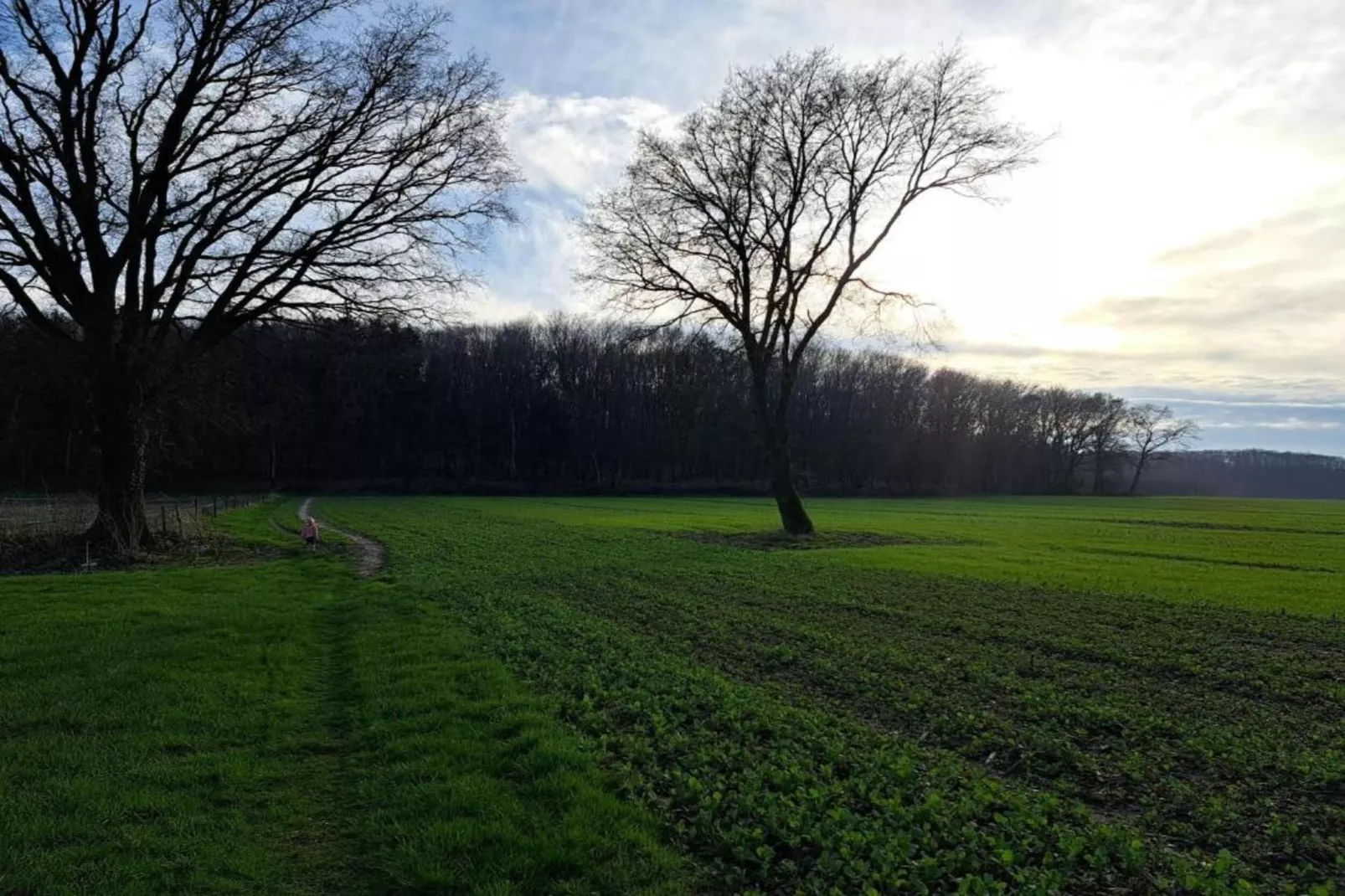 Villapark Ehzerburg 2-Gebieden zomer 20km