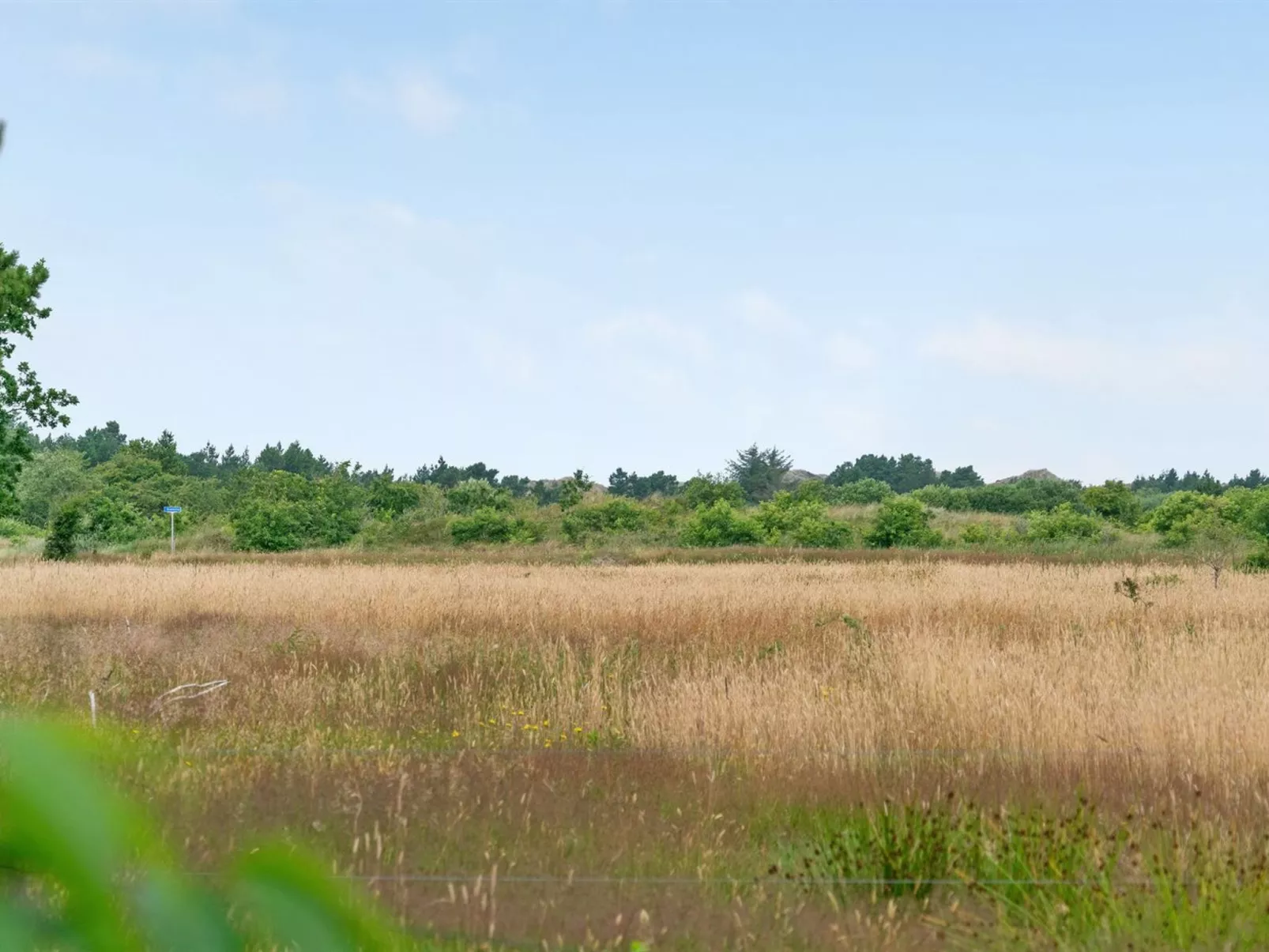 "Gwen" - 2.7km from the sea-Buiten