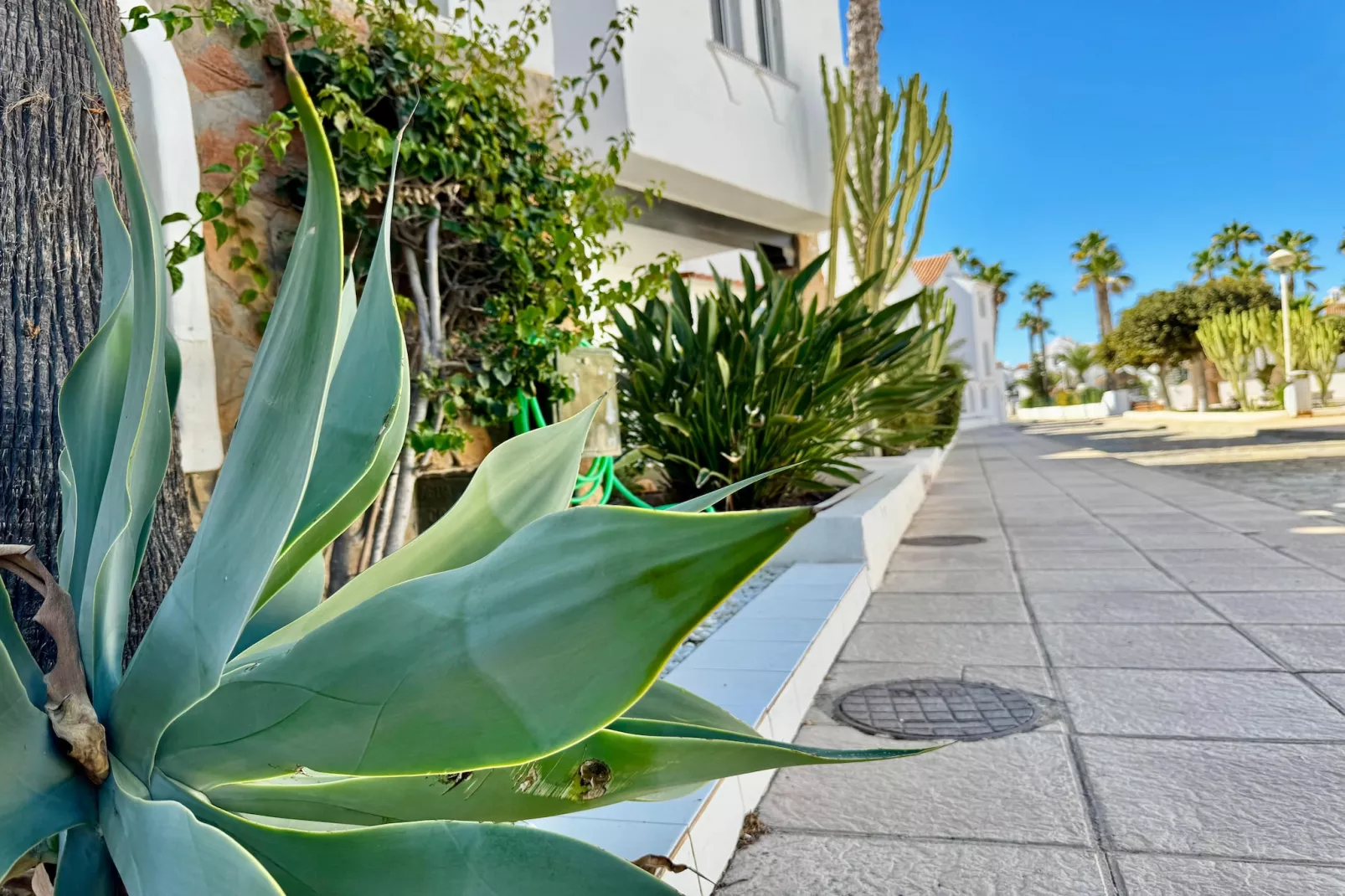 Golf Center 1 - 11-Gebieden zomer 1km