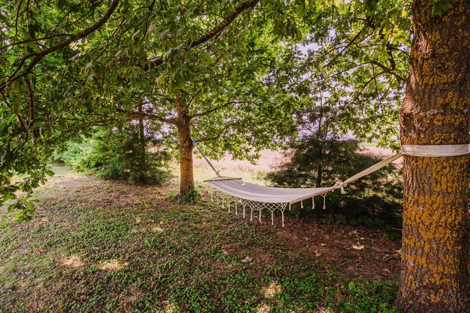 Stunning Rural Holiday Home with Garden and BBQ -  Four Bedroom Holiday Home-Buitenlucht