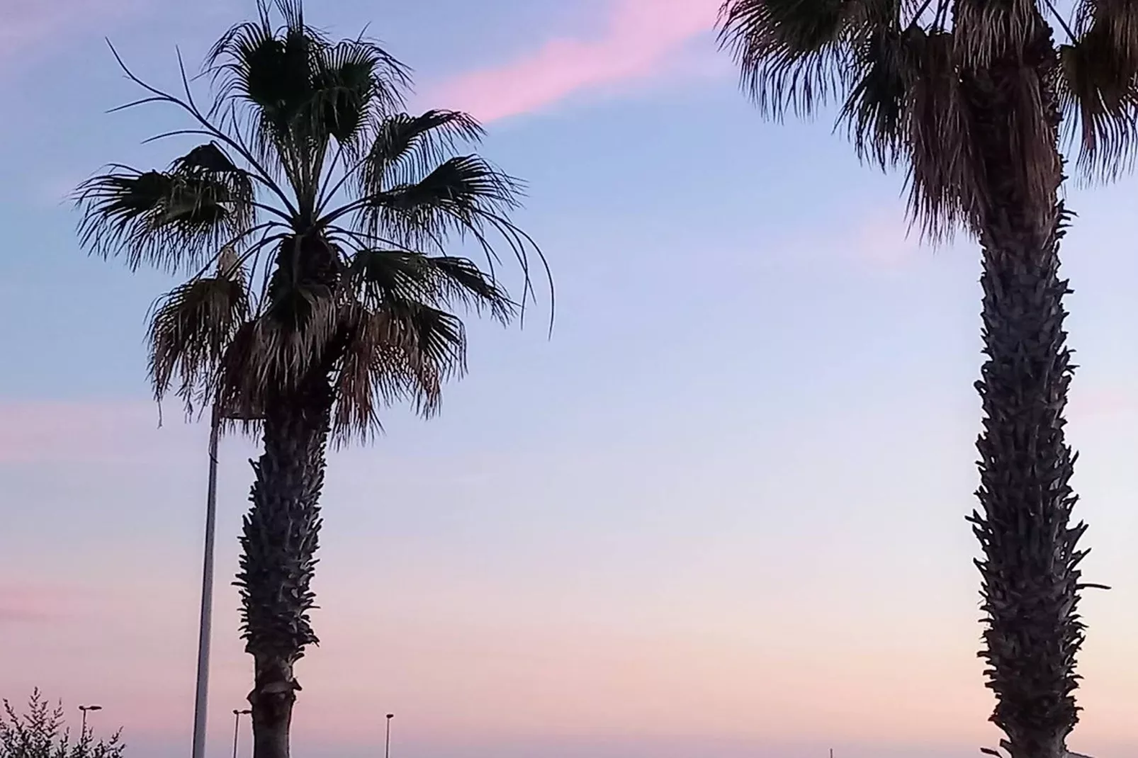 Delfin 14C-Gebieden zomer 5km