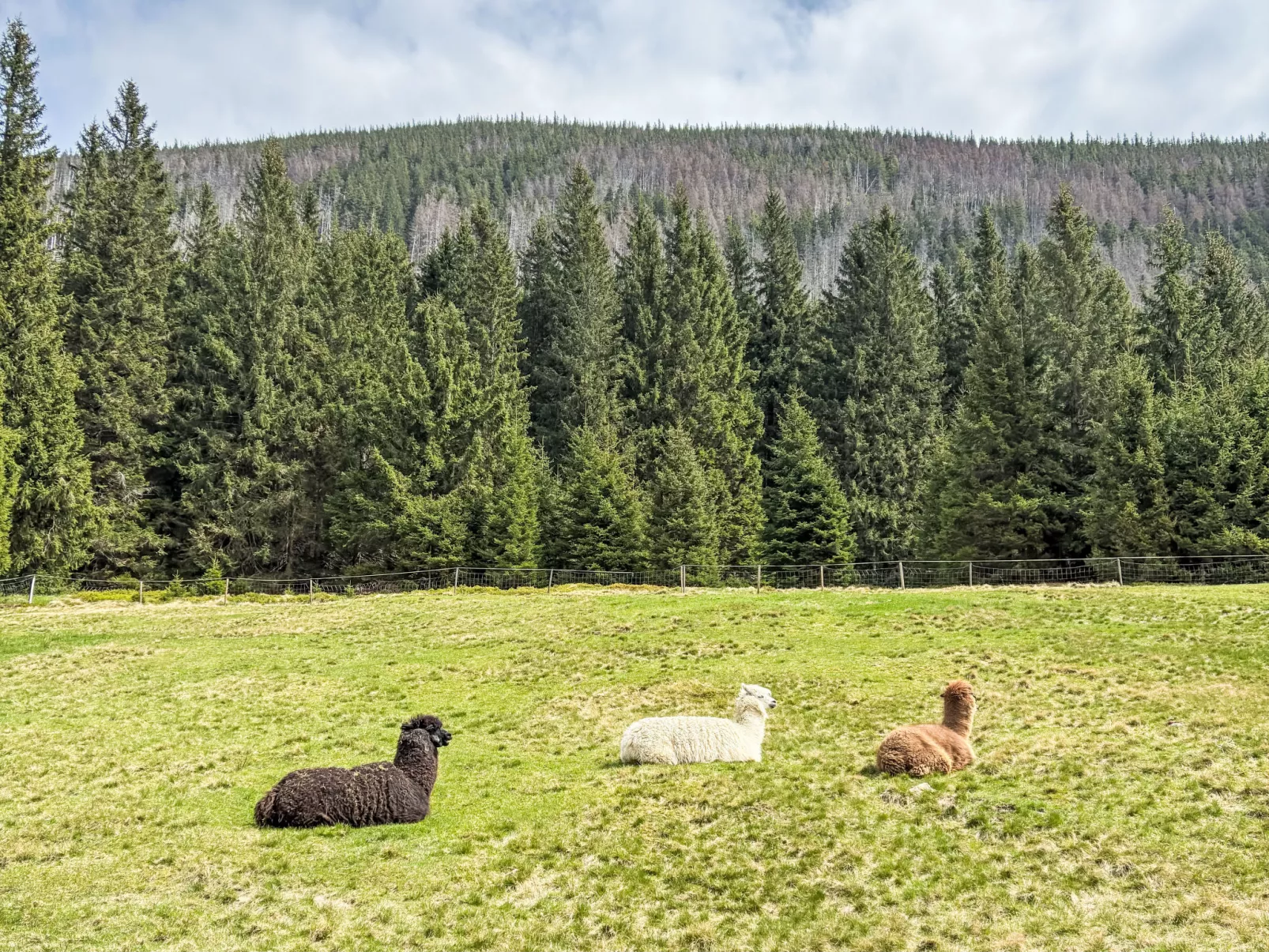 Na Kovárně-Omgeving