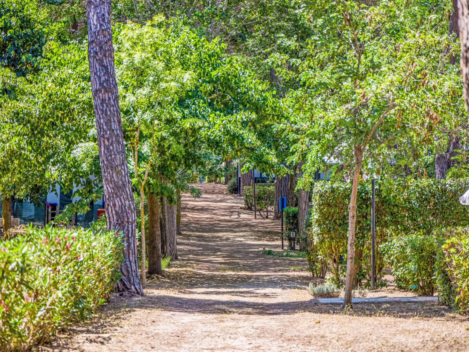 Costa D'Argento-Buiten