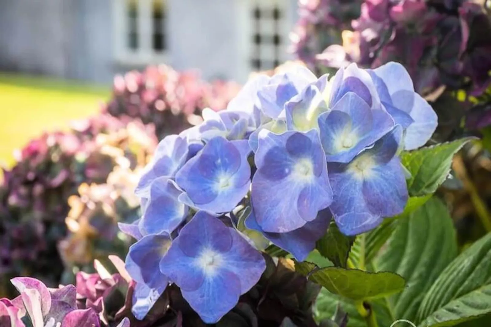 Maison à Clifden Galway-Niet-getagd