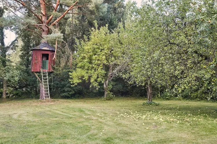 Dom wakacyjny w Sasinie dla max 8 osób-Tuinen zomer