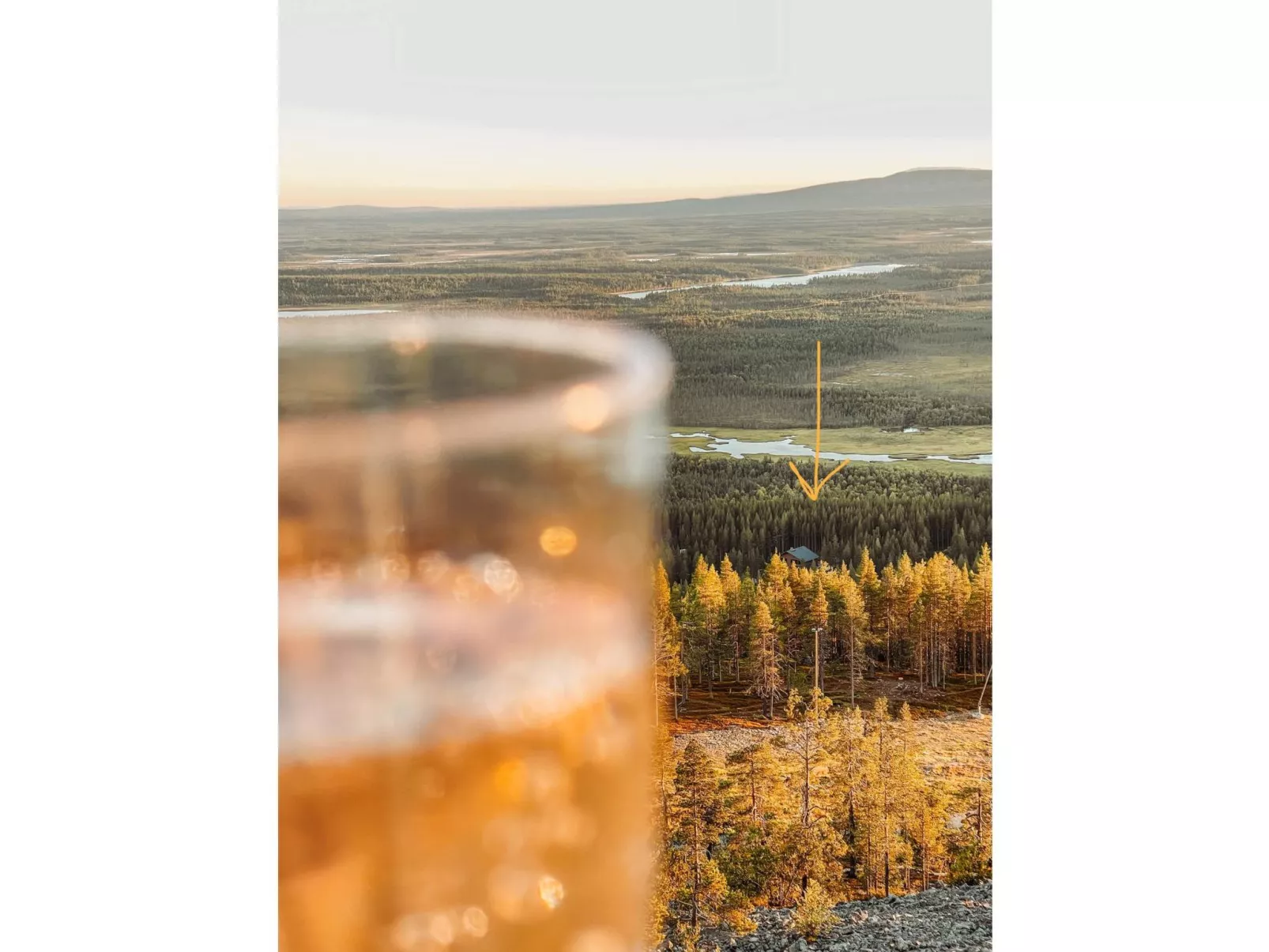 Willa levi west b-Binnen