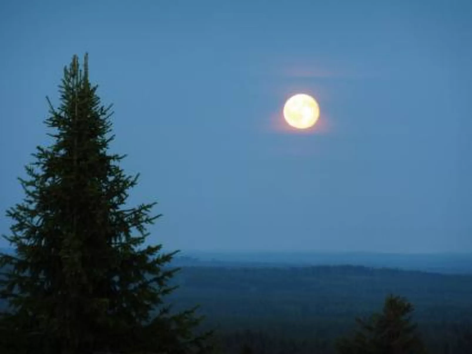 Vaaran loma-asunto-Binnen