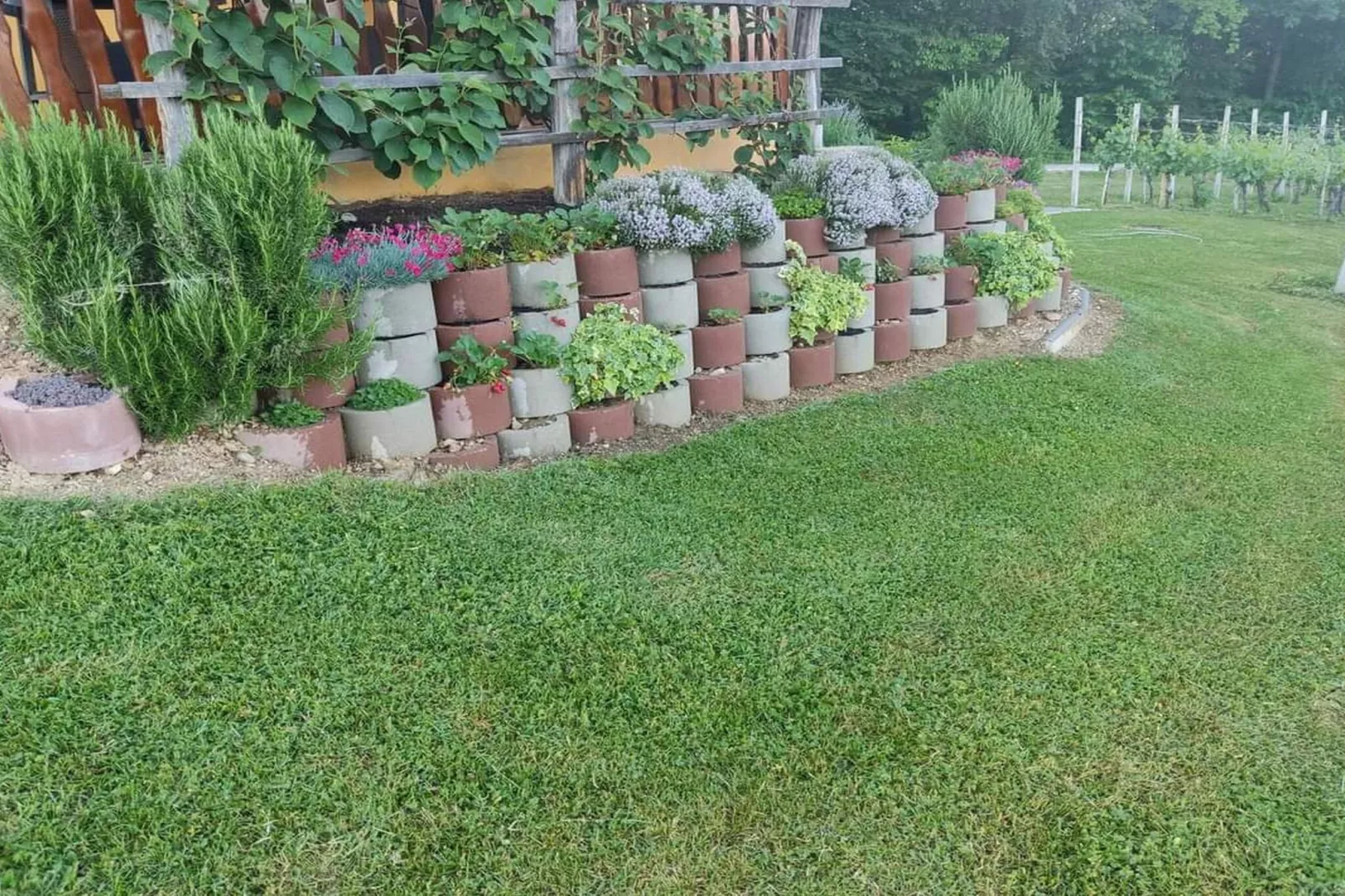 Golden Horizon Holiday Home with Terrace and Garden - One Bedroom Holiday Home with Terrace and Garden-Tuinen zomer