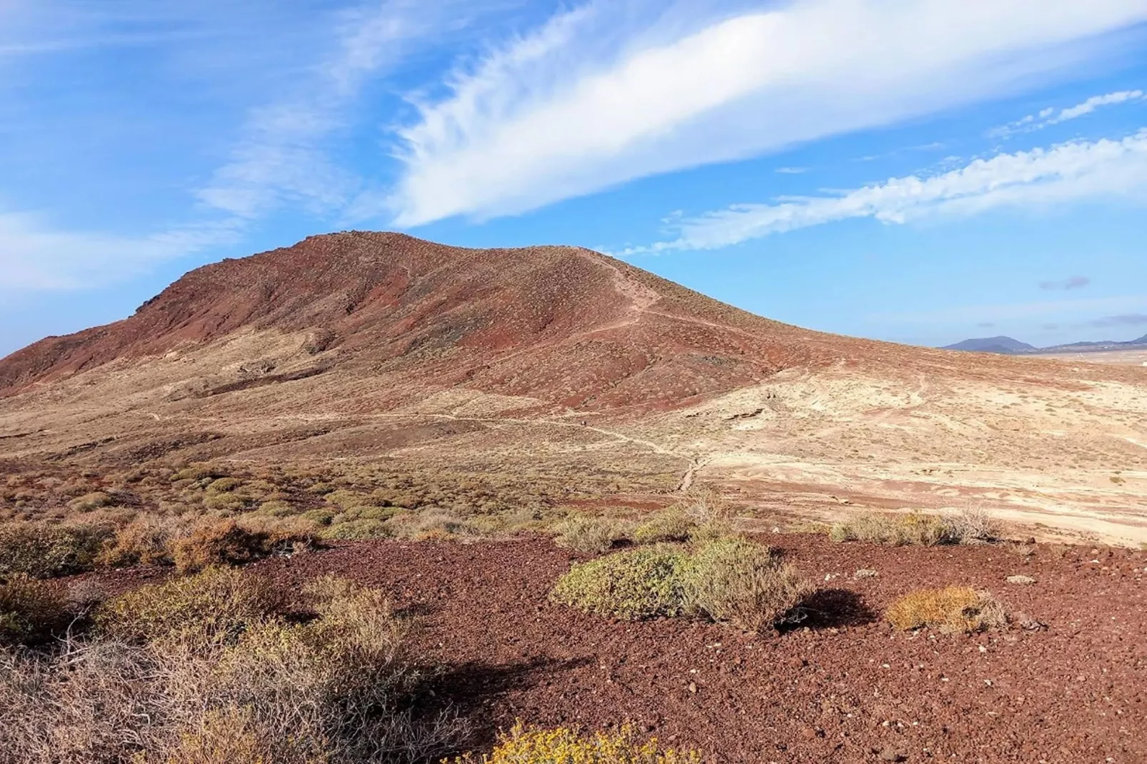 Delfin 14C-Gebieden zomer 20km