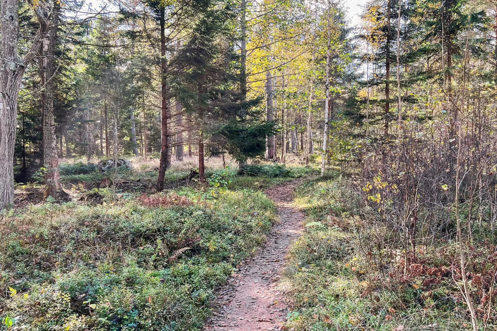Rustig eilandhuis vlakbij de zee-Niet-getagd