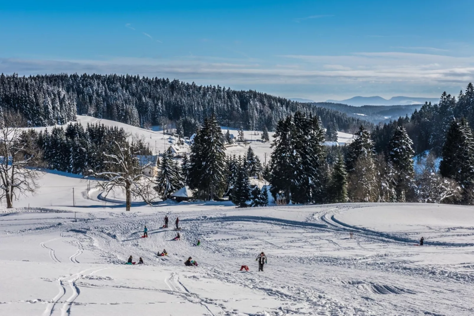 Ferienwohnung Herrischried an der Skipiste-Gebied winter 1km