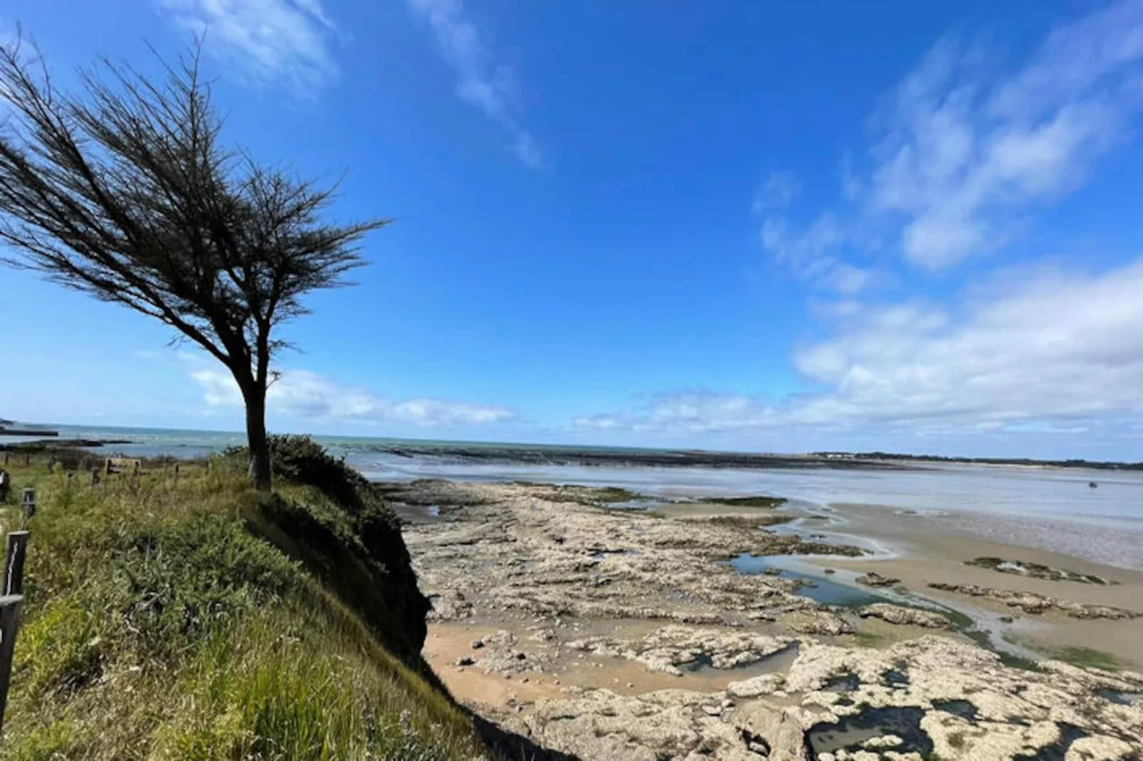 Maison à Assérac-Niet-getagd