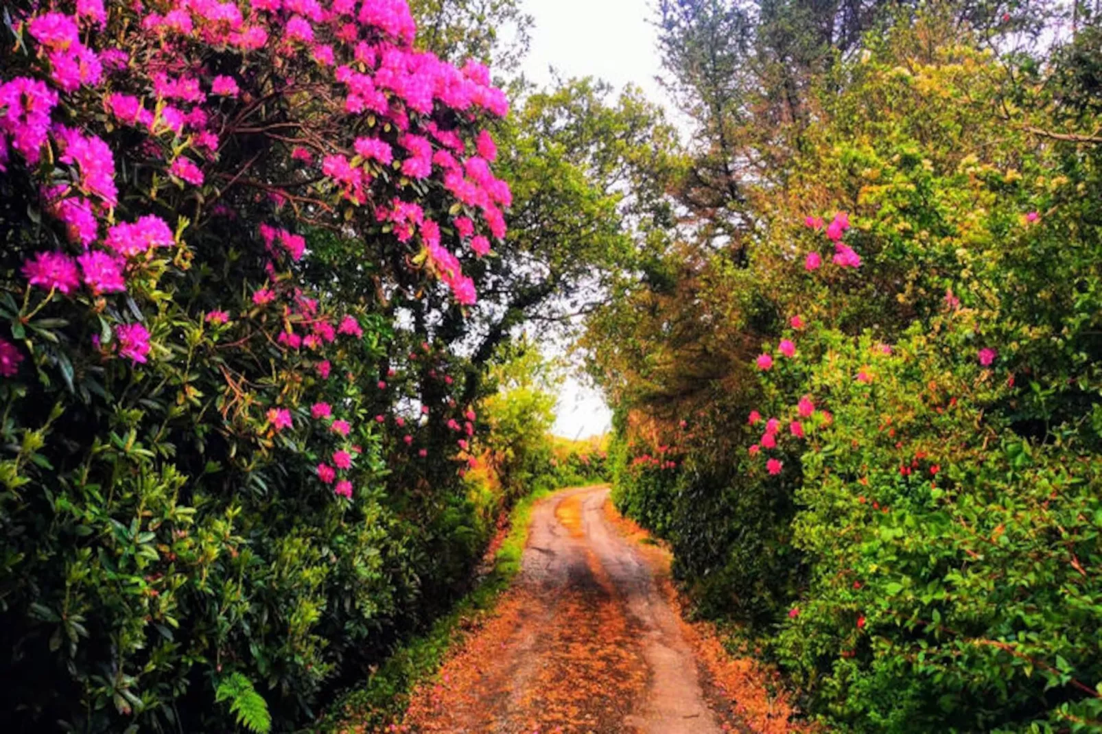 Maison à Letterfrack Galway-Niet-getagd