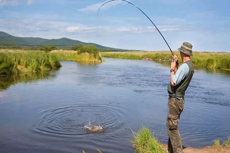 Dom wakacyjny dla 5 osób w Przewozie-Gebieden zomer 5km