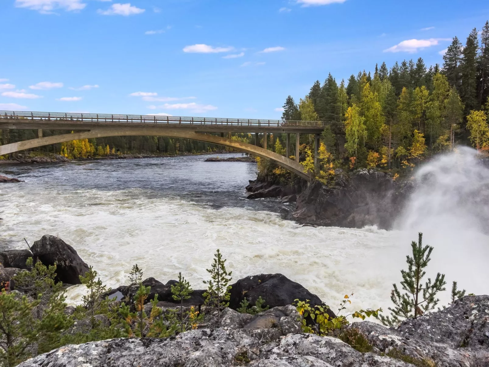 Lövgårdenin lohimaja-Binnen