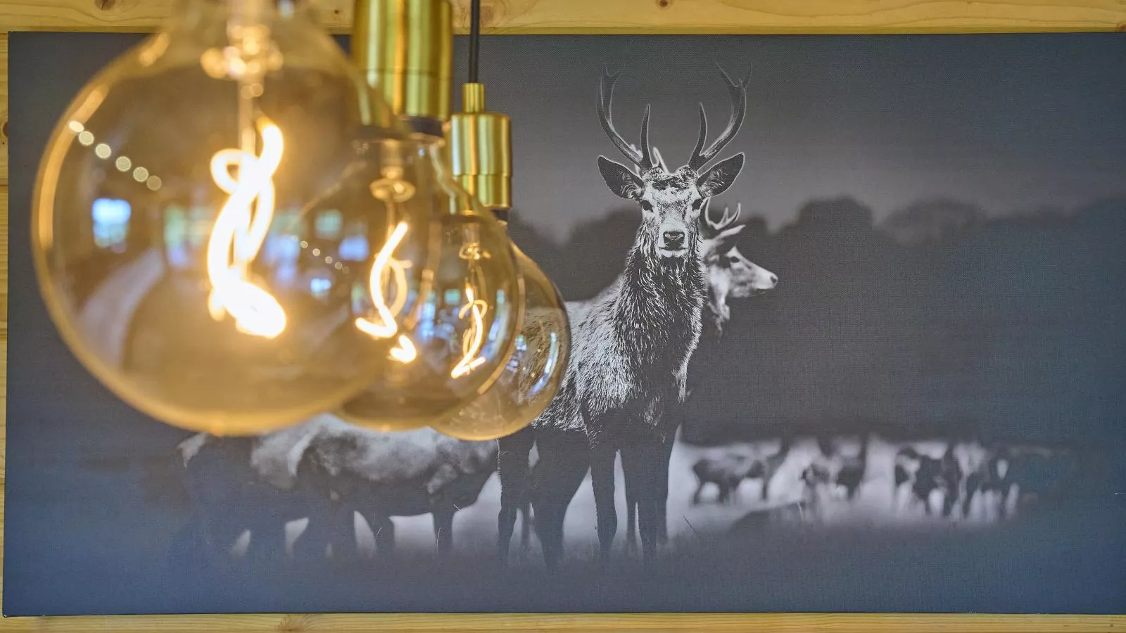 Bie Leentje op de Wei-Sfeer