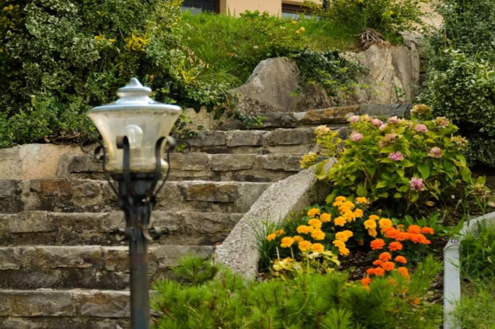 Zevnik Quiet Retreat with Stunning Views and Equestrian Activities - Standard One Bedroom Apartment-Buitenlucht