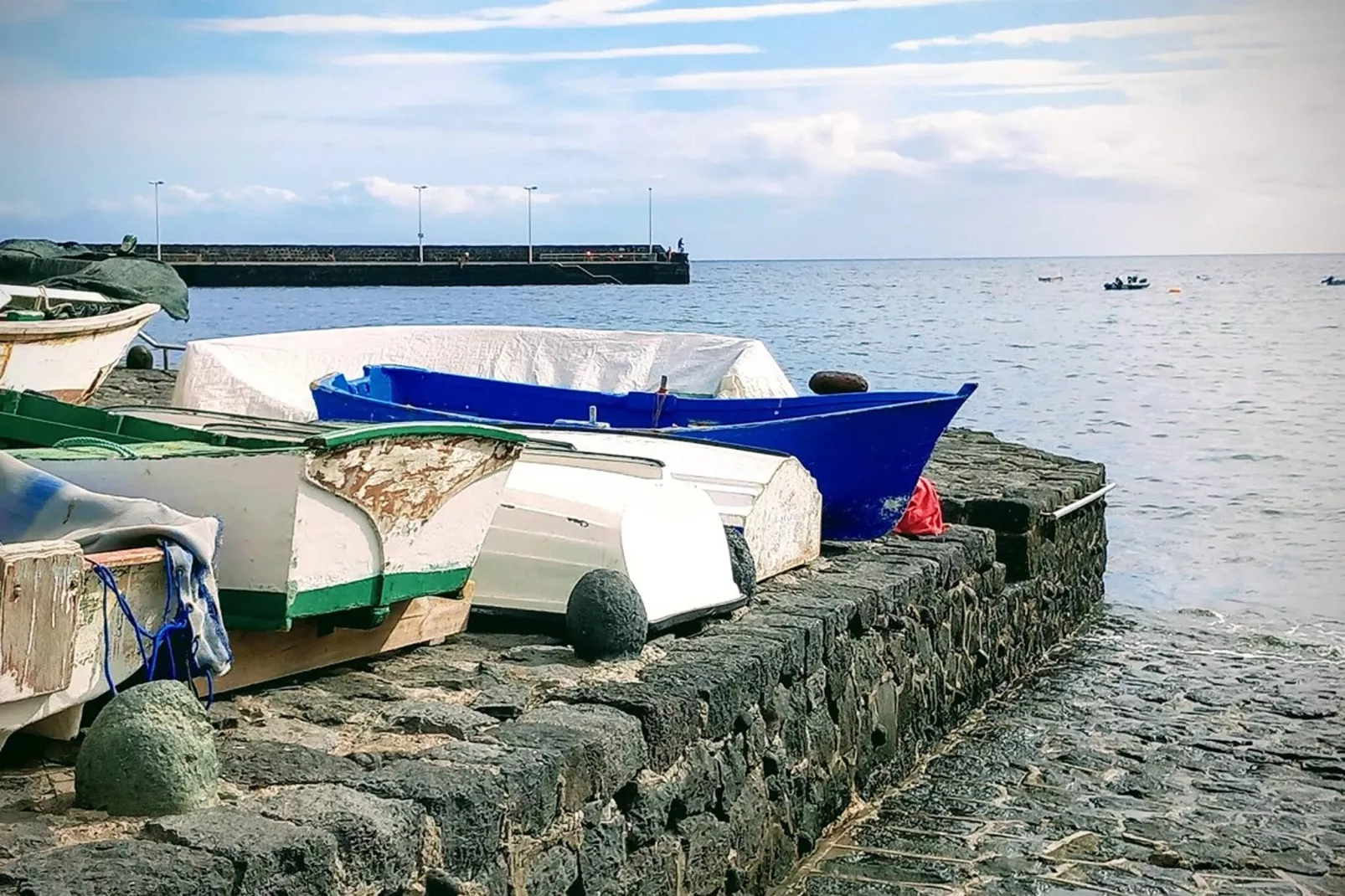 Delfin 14C-Gebieden zomer 20km