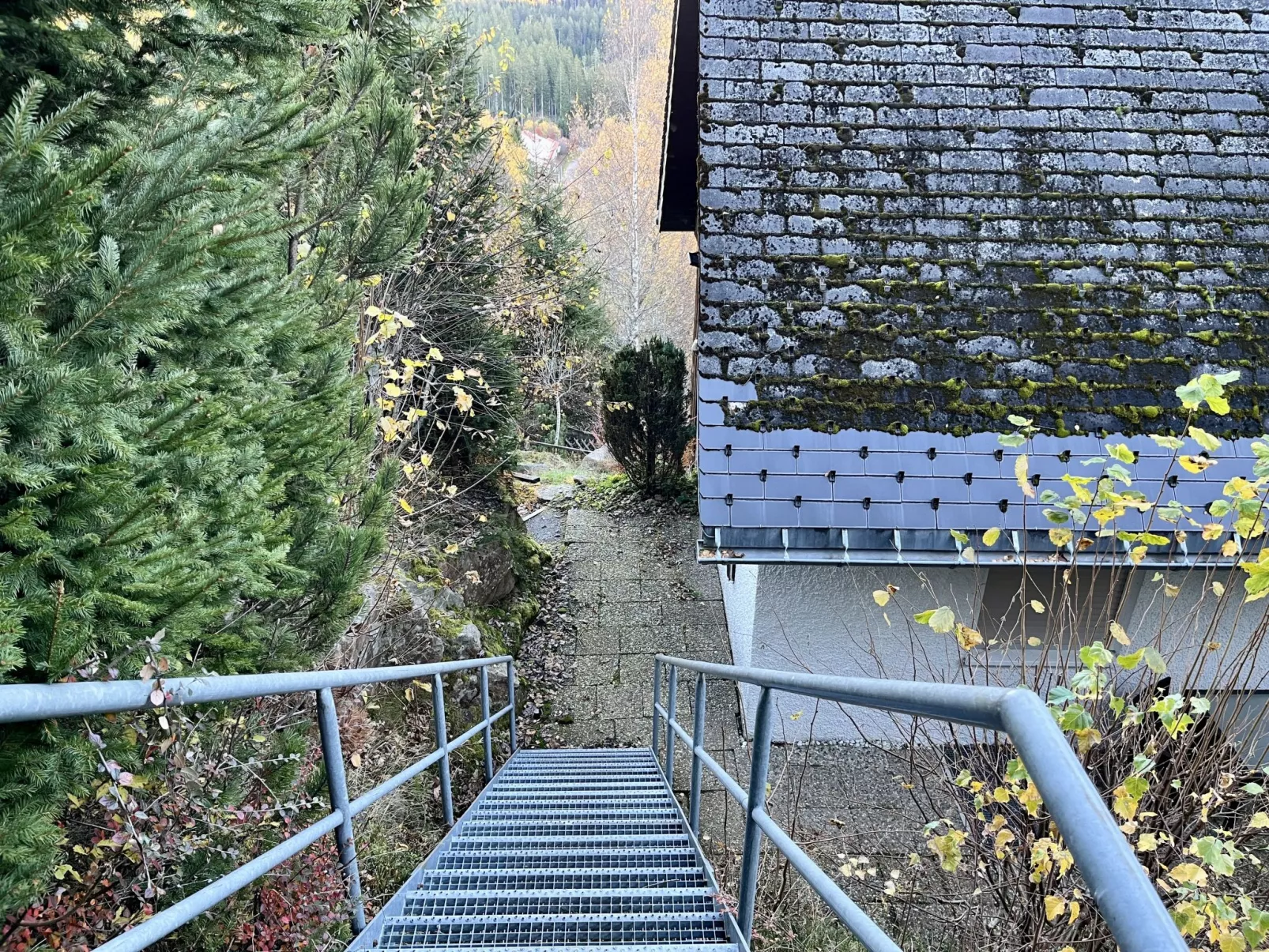 Falkennest - mit Blick auf den Titisee-Buiten