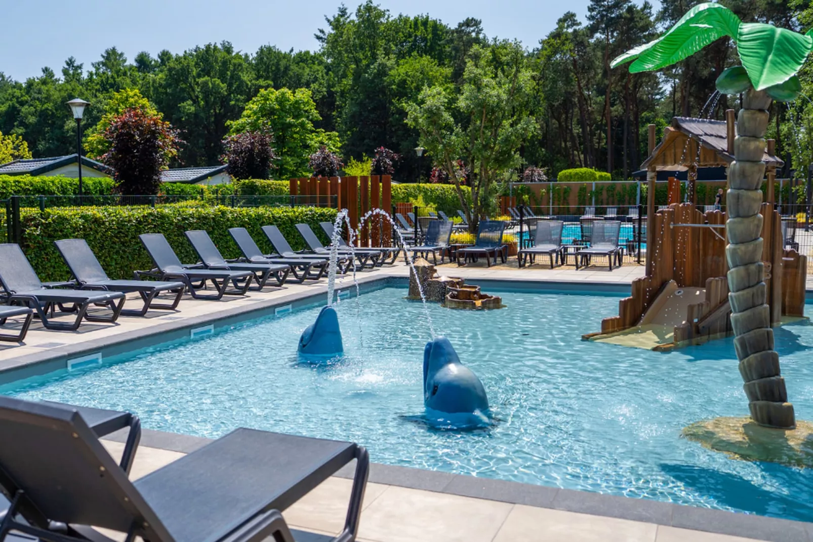 Vakantiepark Molenvelden 6-Zwembad