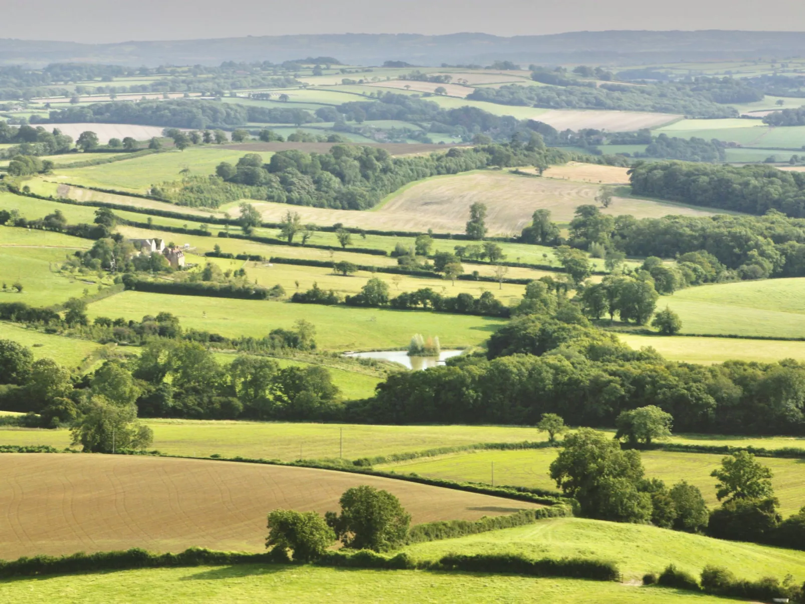 New Park Farm-Buiten