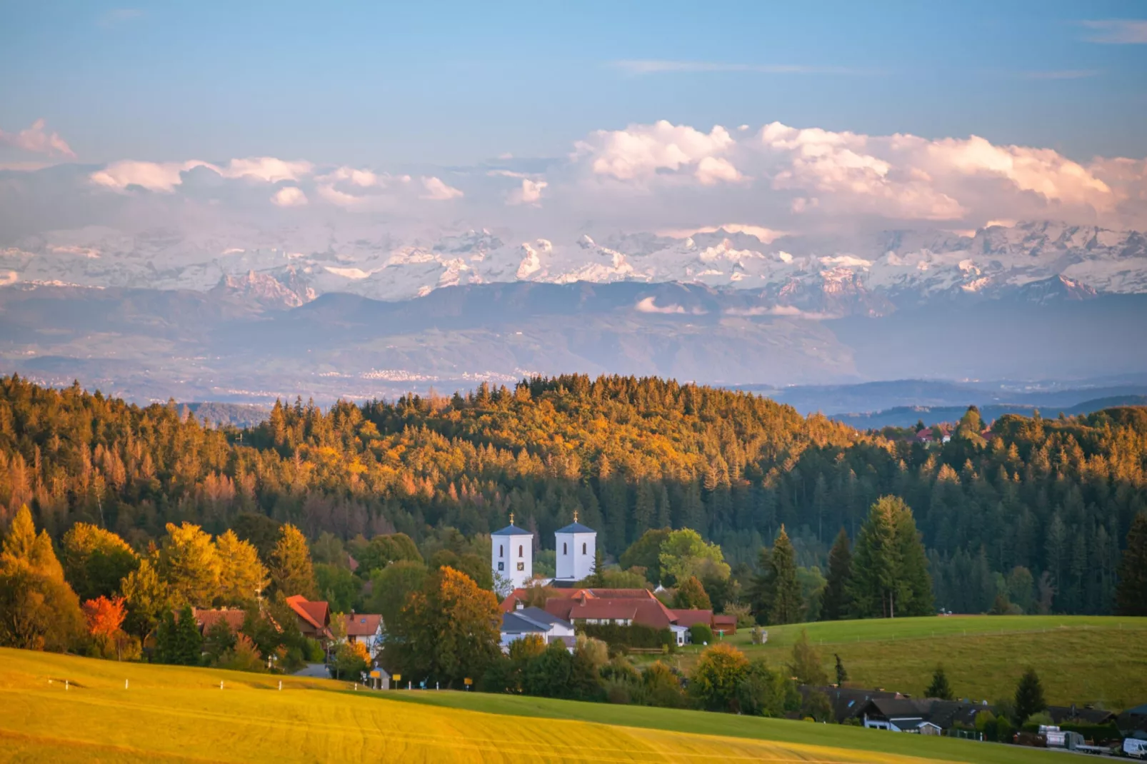 Ferienwohnung Herrischried an der Skipiste-Gebieden zomer 1km