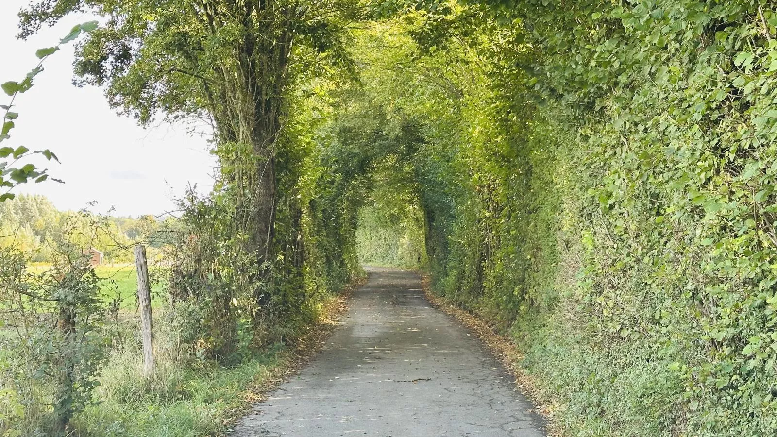 Loheré-Gebieden zomer 5km