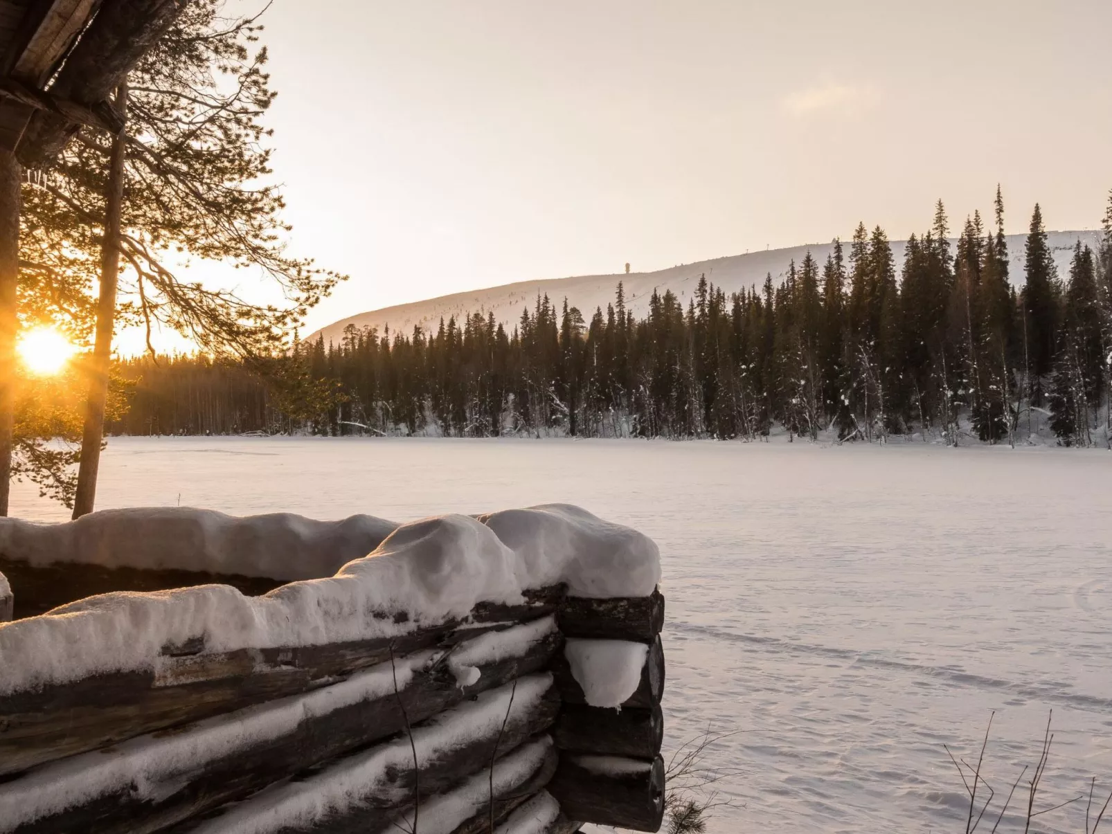 Metsä-luosto-Binnen