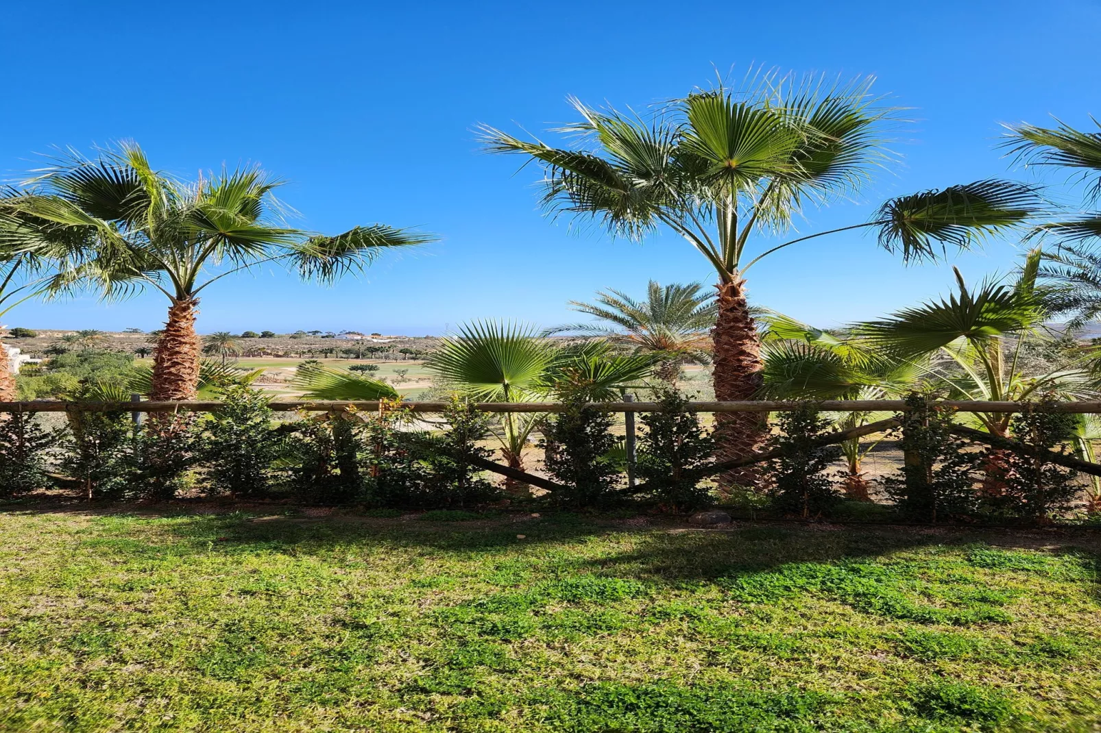 CT 347 AL - Faro's Gardenapartment - Valle del Este-Tuinen zomer