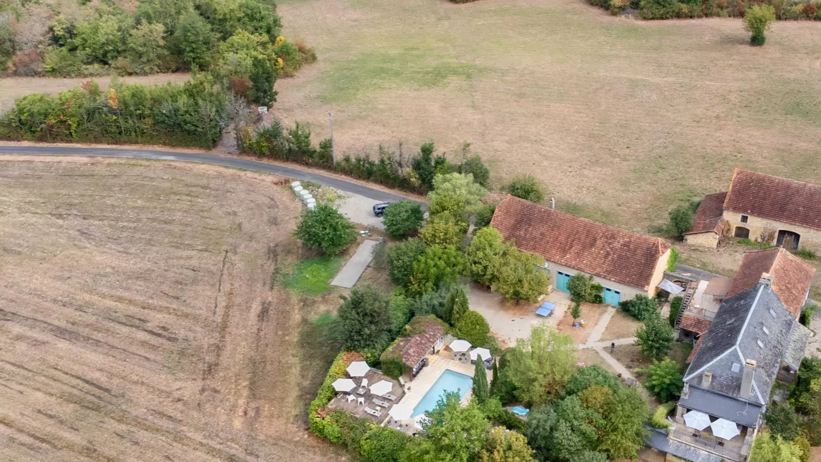 Orchidee-Buitenkant zomer