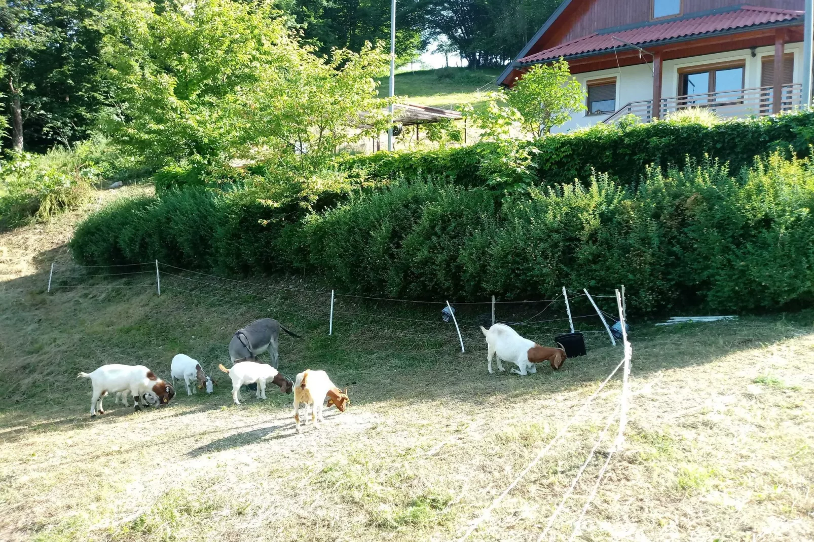 Holiday Home Slap with Sauna and BBQ - Two Bedroom Holiday Home-Buitenlucht