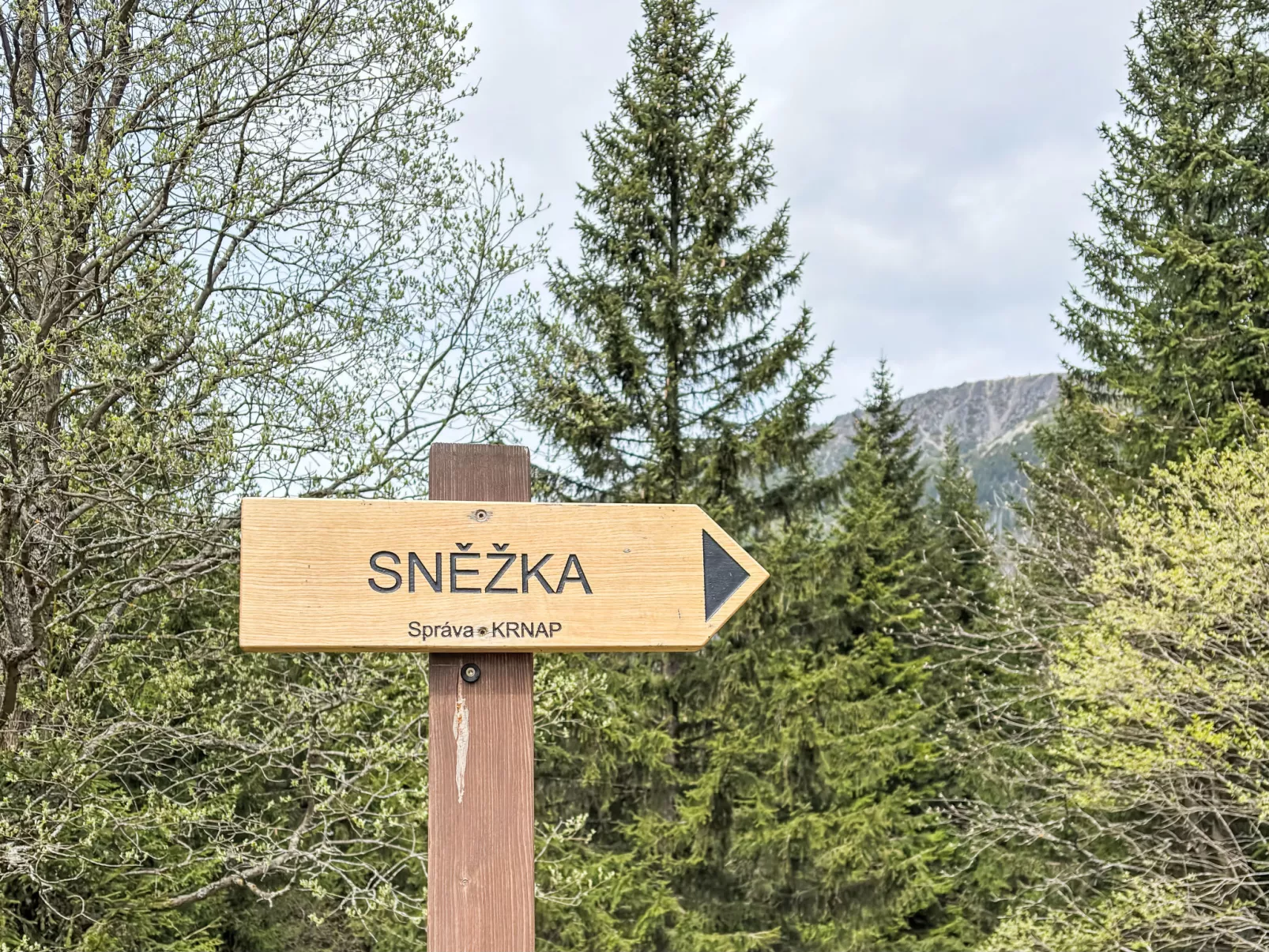 Na Kovárně-Omgeving