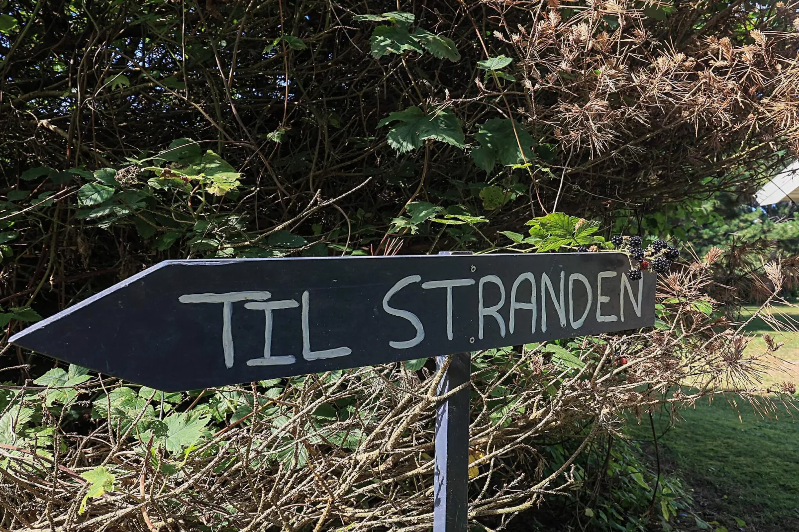 10 persoons vakantie huis in Væggerløse-By Traum-Uitzicht