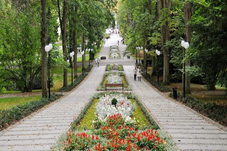 Apartament w Polanicy Zdrojowa 34B - 408-Gebieden zomer 1km