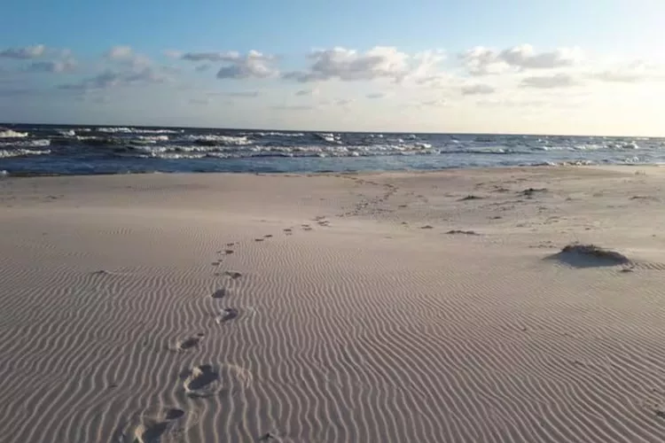 Dom wakacyjny w Sasinie dla max 10 osób-Gebieden zomer 5km