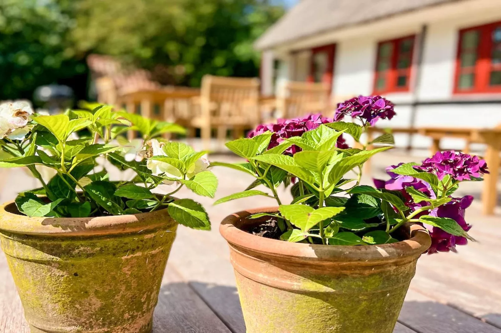 Familiehuisje voor acht gasten-Uitzicht