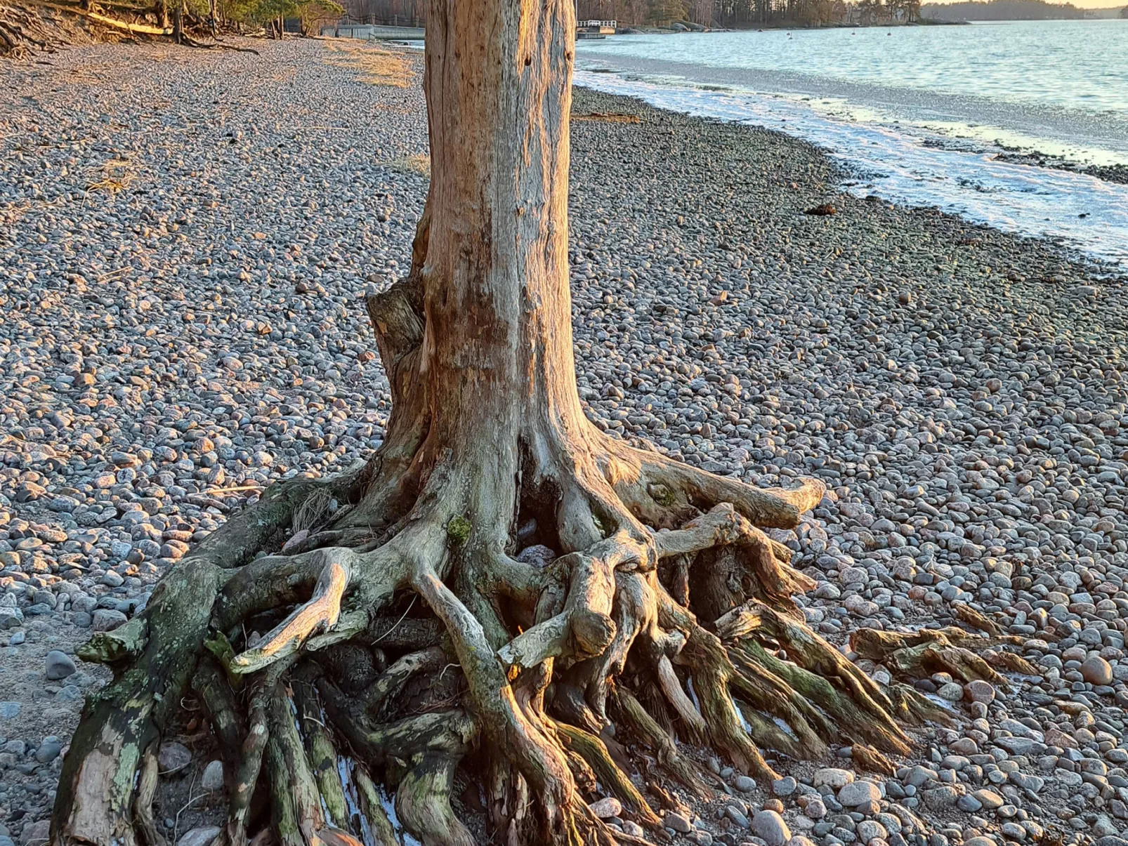 Villa kallahti beach view helsinki-Binnen