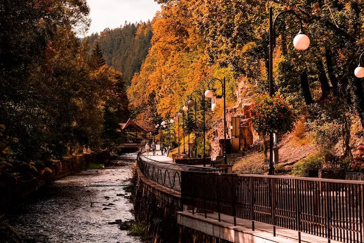 Apartament w Polanicy Zdrojowa 34B - 408-Gebieden zomer 1km