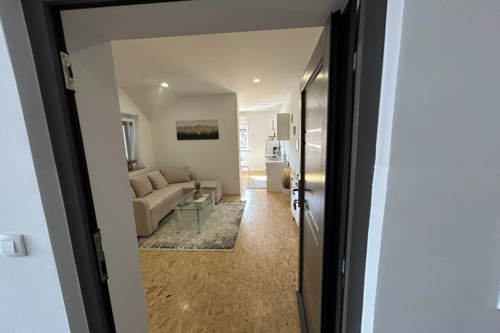 City Modern and Vibrant Apartments Ljubljana - Standard One Bedroom Apartment (owner A3)-Binnen