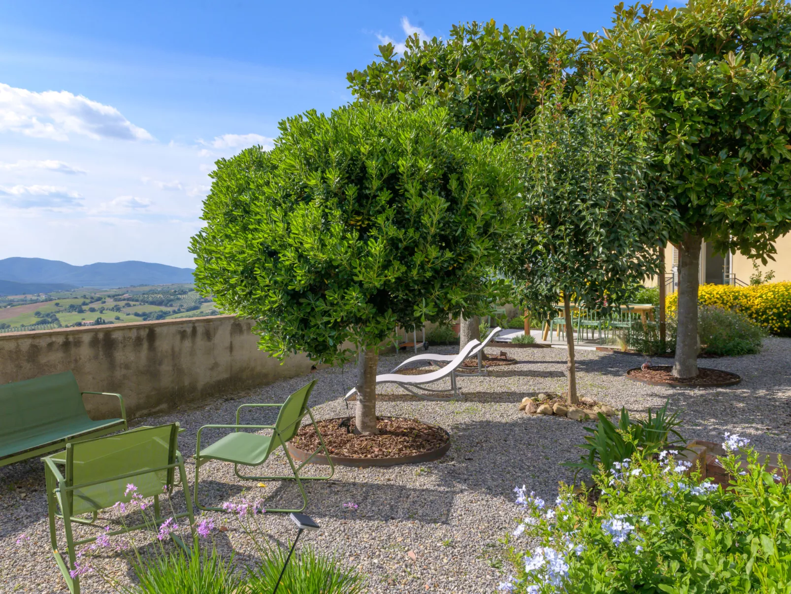 Il Belvedere di Montiano-Buiten