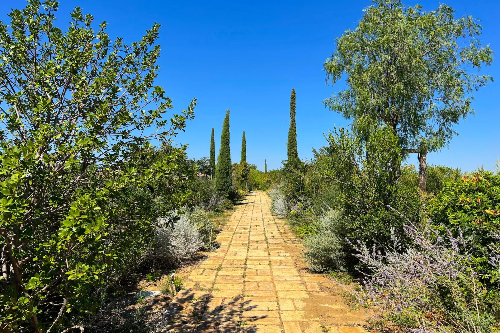 Maniero in Maremma-Gebieden zomer 1km