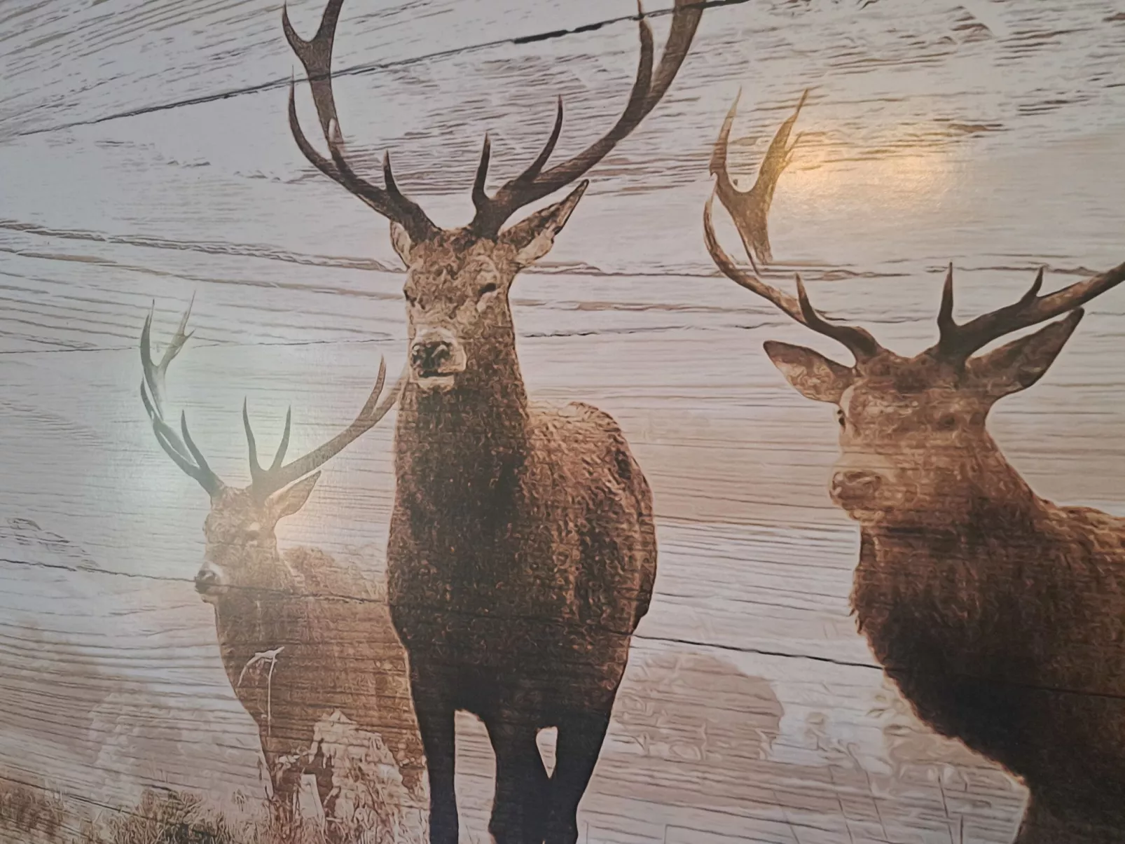 Appartement 2-Binnen