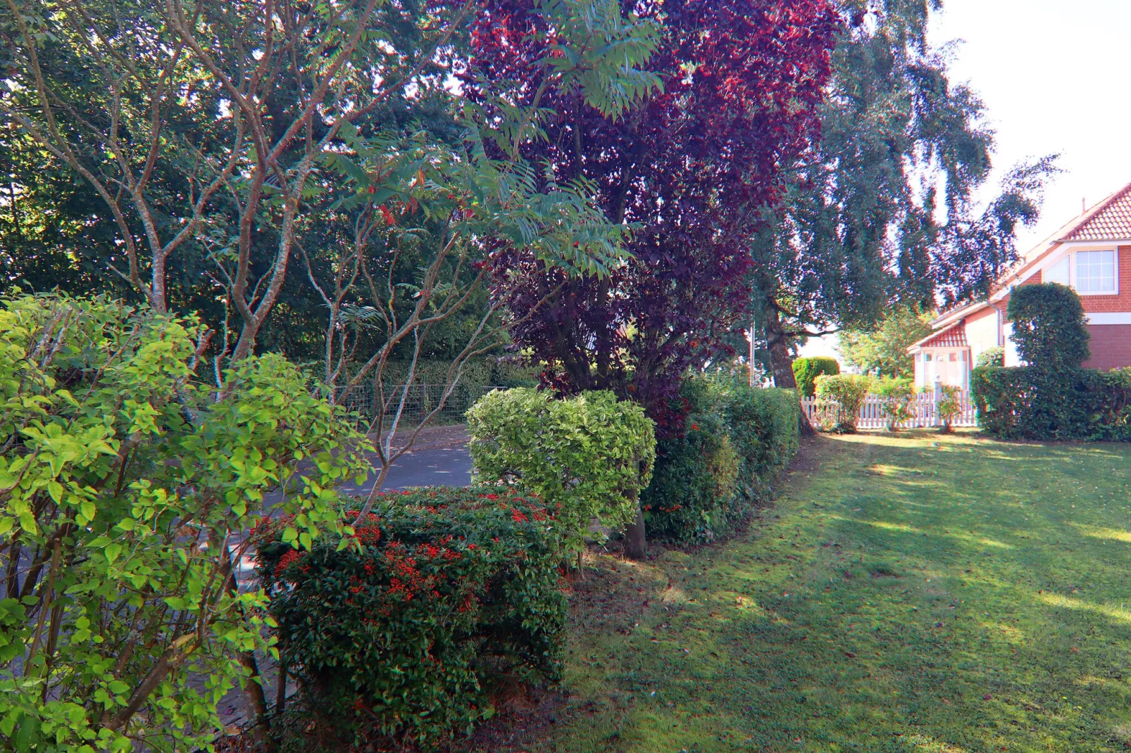 Ferienhaus Rebhuhnweg-Tuinen zomer