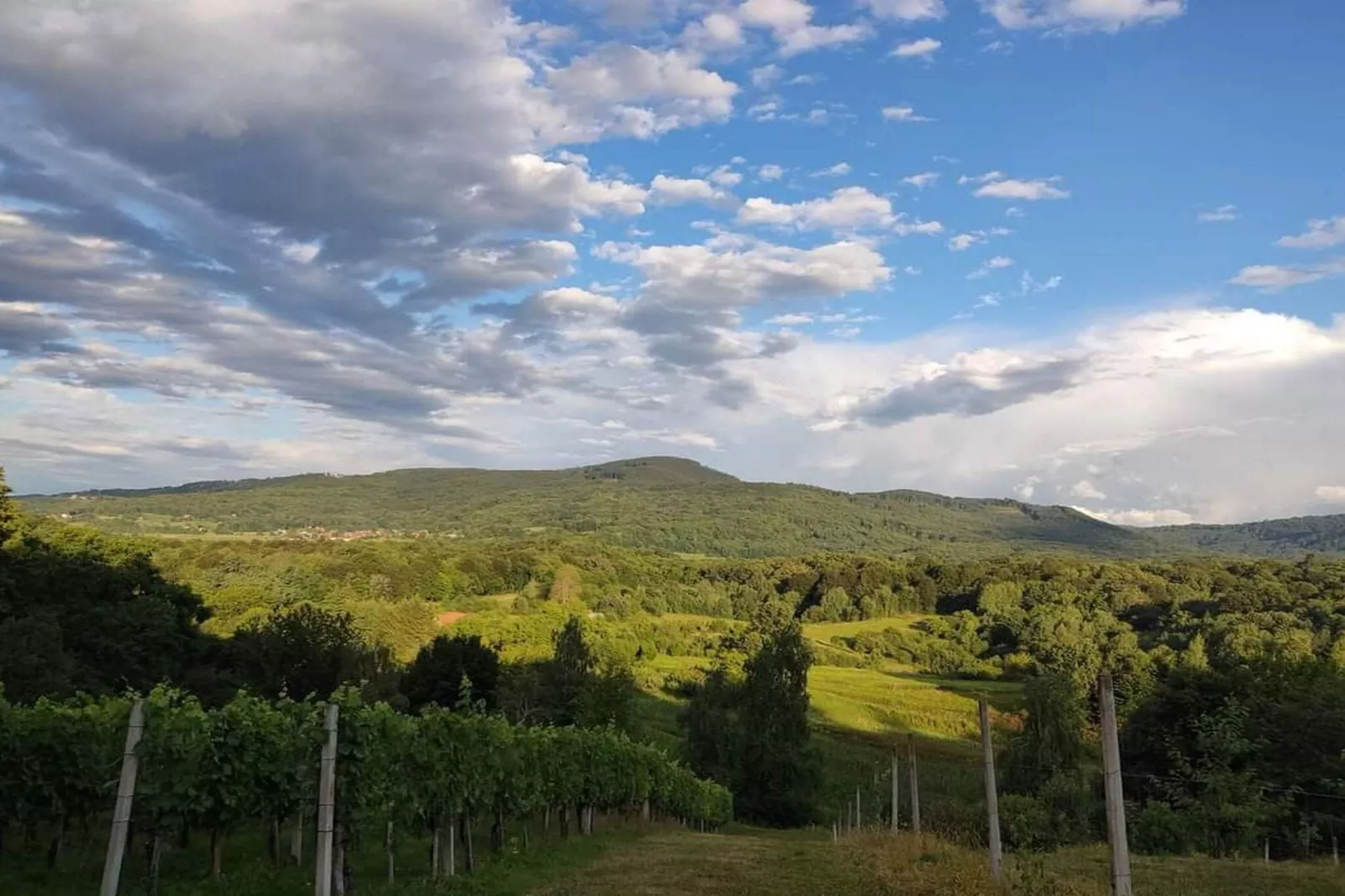 Golden Horizon Holiday Home with Terrace and Garden - One Bedroom Holiday Home with Terrace and Garden-Uitzicht