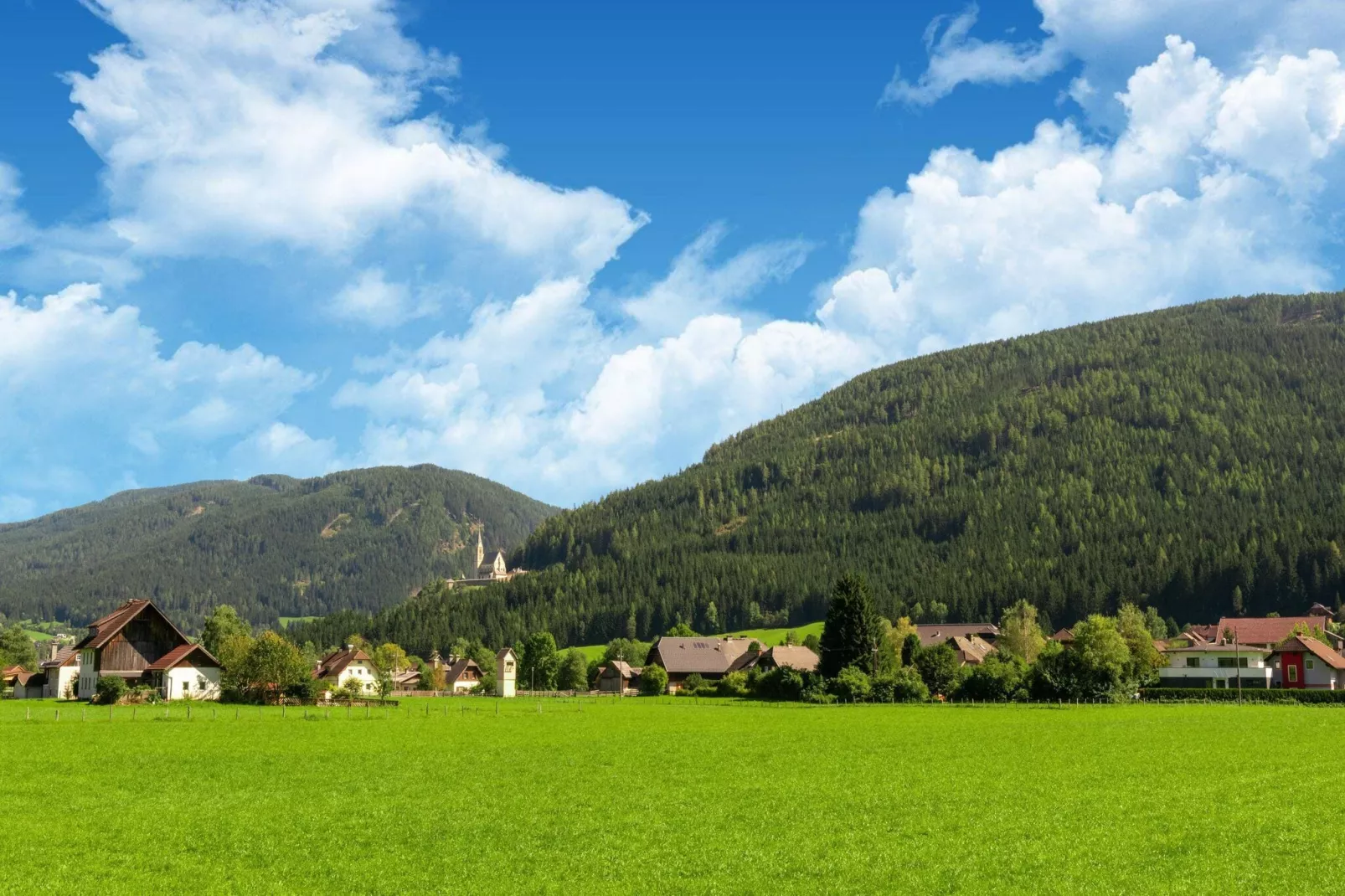 Das Große "Schorsch am Berg" - Gebieden zomer 5km