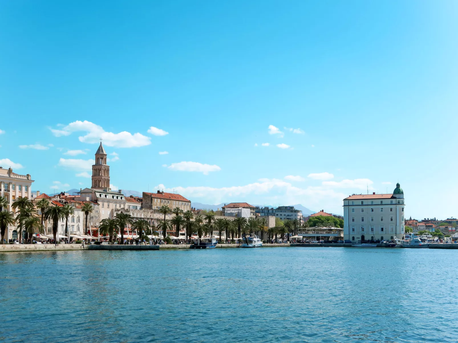 Zlatne NiTi-Omgeving