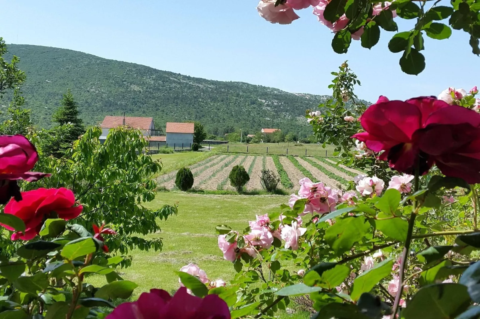 Sport & Spa Villa Neoric-Gebieden zomer 1km